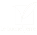 logo lebuoneterre