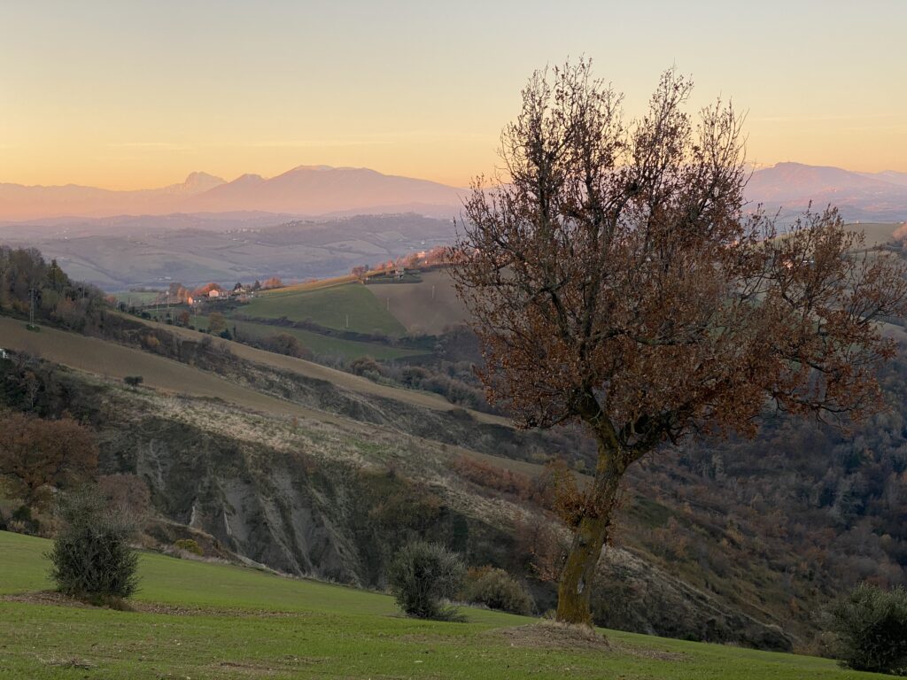 paolo ferrario 2