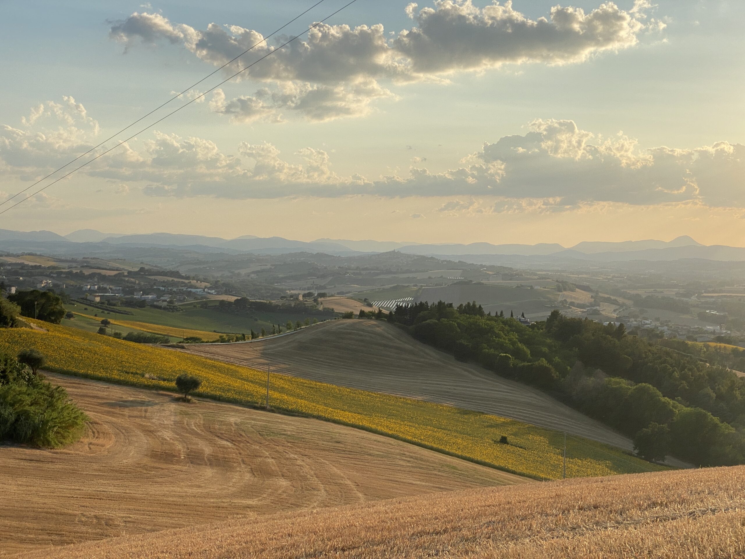 paolo ferrario 4