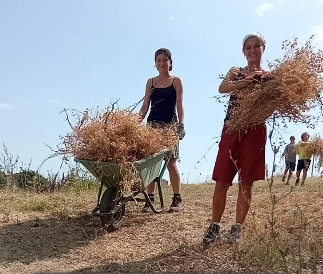 Fattoria sociale Montepacini