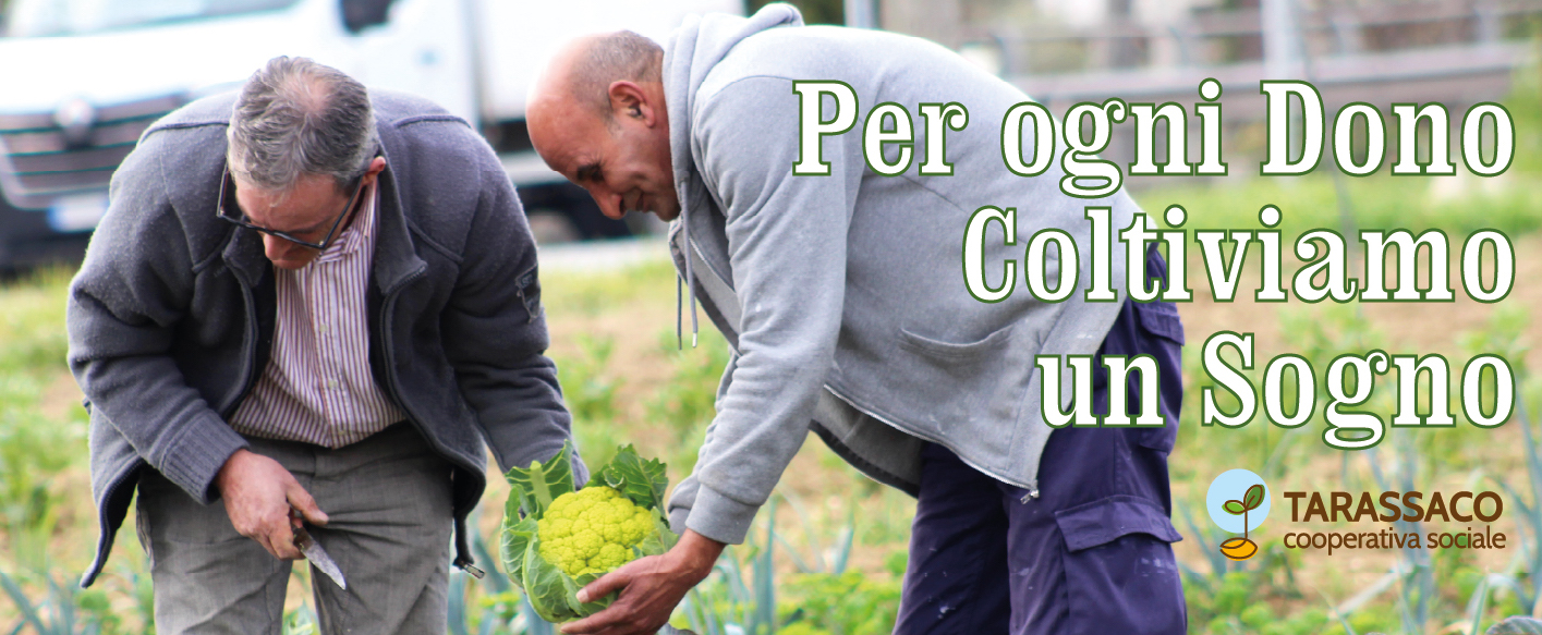 Cooperativa Tarassaco