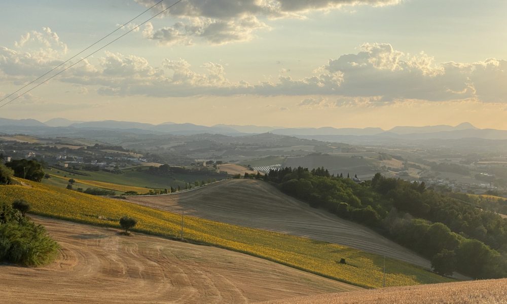 paolo ferrario 4